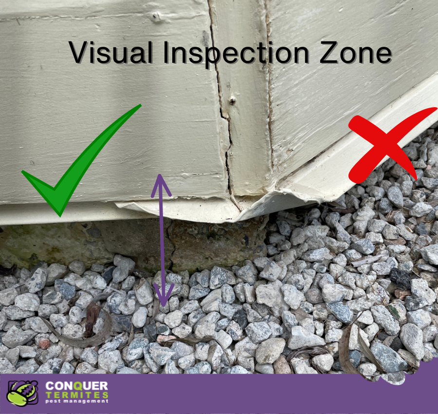 Learn How to Inspect and Protect Your Property from Termites Using QBCC Visual Inspection Guidelines