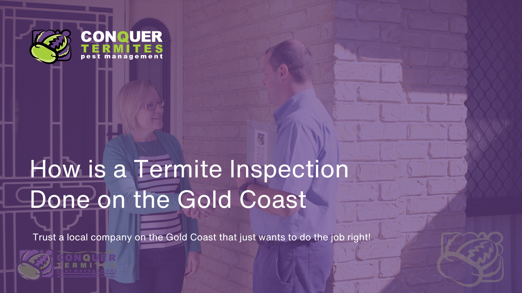 How is a Termite Inspection Done - Gold Coast