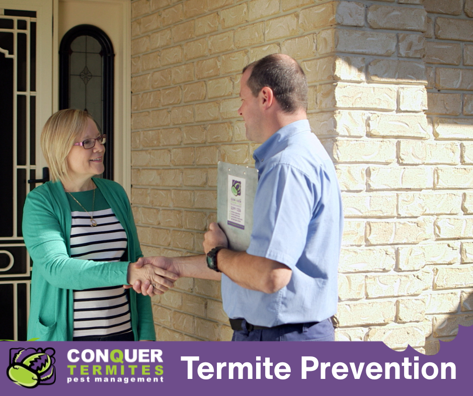 How to Prevent Termites in Your Gold Coast Home