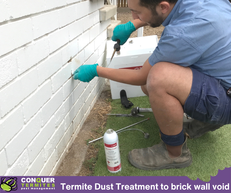 The Best Termite Control Methods