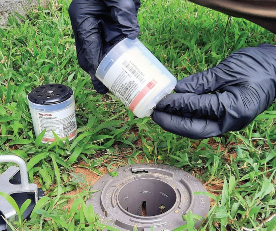  Trelona Termite Bait Station Installation: The Gold Coast's Best Option for Termite Control!